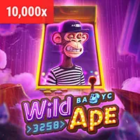 Giấy phép và quy định của nền tảng cá cược 28bet, 22vip
